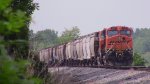 CN grain train